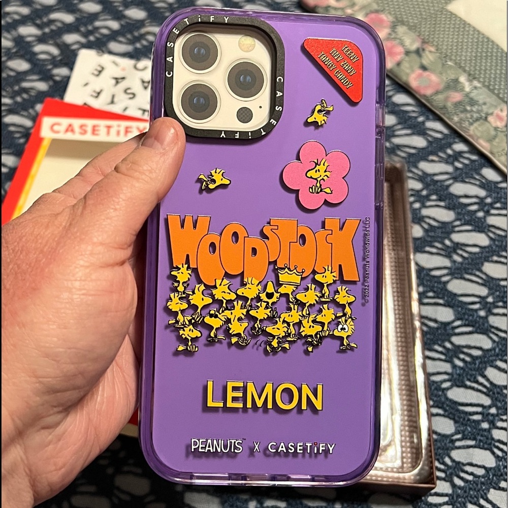 CASETiFY iPhone 13 Pro Max Case